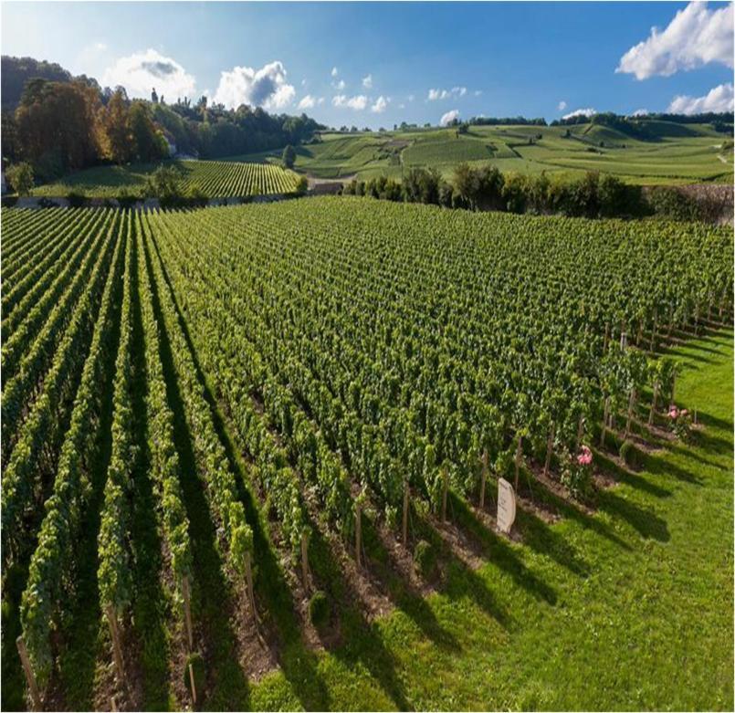 Le Clos Des Belvals Вертю Экстерьер фото